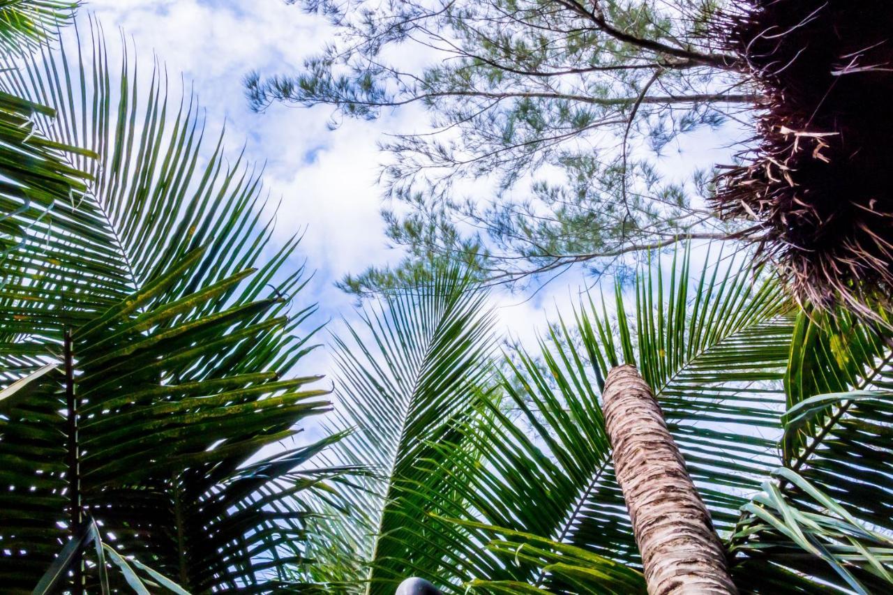 Oostel Smart Hostel - Tulum Playa Exterior photo